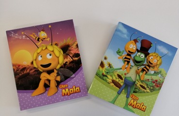 COPERTINA APE MAIA