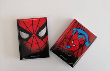 DIARIO SPIDER MAN