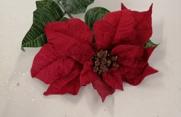 decori natale
