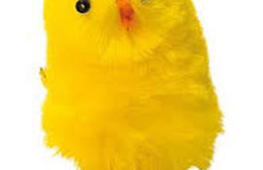 PASQUA