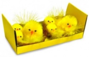 PASQUA