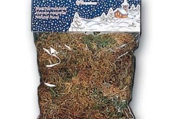 presepe