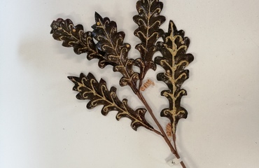 decori natale