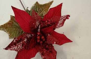 decori natale