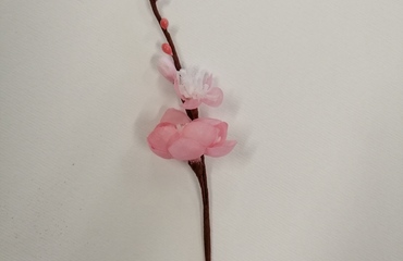 PASQUA