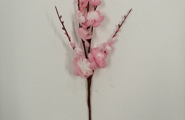 PASQUA