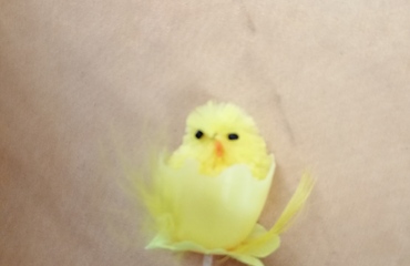PASQUA