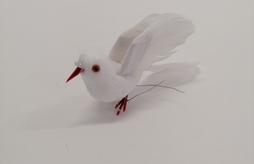 PASQUA