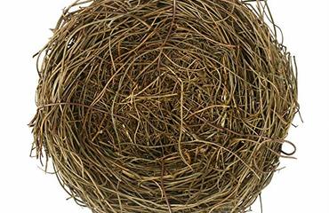 PASQUA