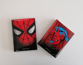 DIARIO SPIDER MAN
