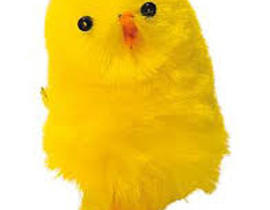 PASQUA