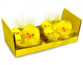 PASQUA