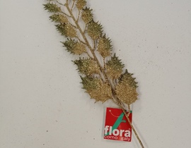 decori natale