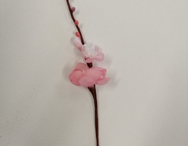PASQUA