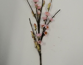 PASQUA