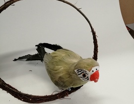 PASQUA