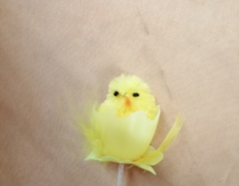 PASQUA