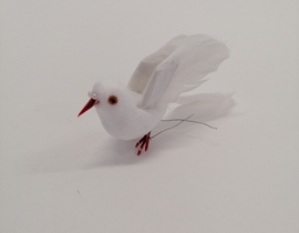 PASQUA