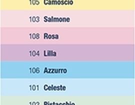 CARTA COLOR