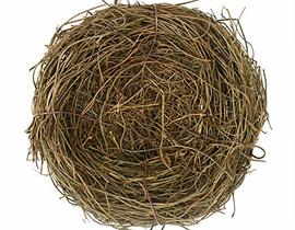 PASQUA